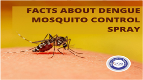 7 Facts to Know About Dengue Mosquito Control Spray
