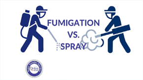 How Fumigation Is Different from Spray