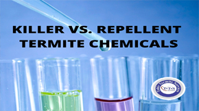 Best Termite Spray in Lahore: Killer vs. Repellent Termite Chemicals