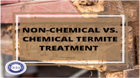 Non-Chemical vs. Chemical Termite Treatment: Which Is Best?