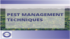 How Pest Management Techniques Help in Pest Control
