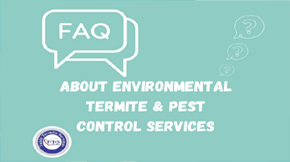 Answers to FAQs About Environmental Termite & Pest Control Services