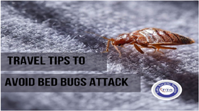 Travel Tips to Avoid Bed Bug Attacks